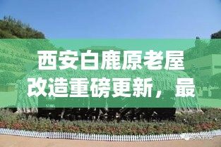 色厲內荏 第3頁