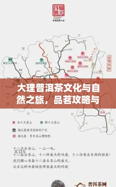 大理普洱茶文化與自然之旅，品茗攻略與旅行指南雙重體驗