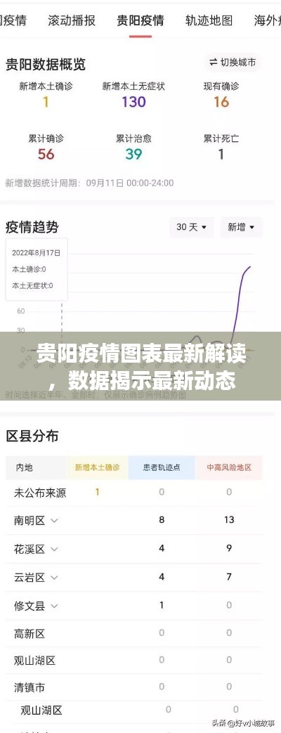 貴陽(yáng)疫情圖表最新解讀，數(shù)據(jù)揭示最新動(dòng)態(tài)