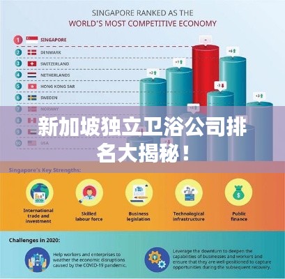 新加坡獨立衛(wèi)浴公司排名大揭秘！