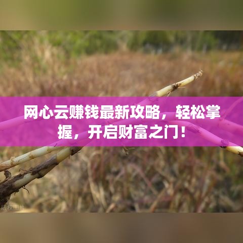 網(wǎng)心云賺錢最新攻略，輕松掌握，開啟財富之門！