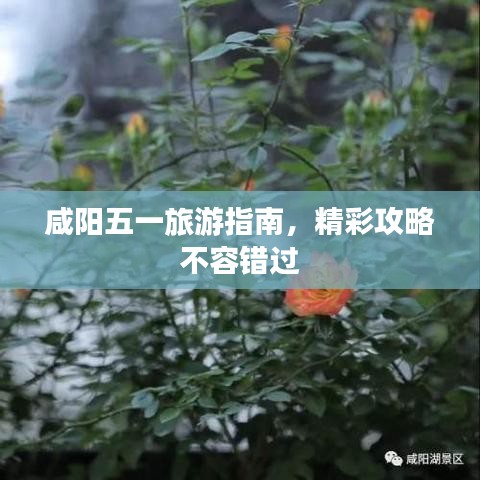 咸陽五一旅游指南，精彩攻略不容錯過