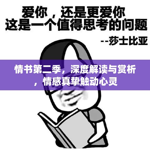 情書(shū)第二季，深度解讀與賞析，情感真摯觸動(dòng)心靈