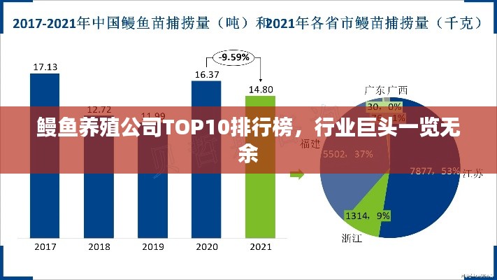 鰻魚養(yǎng)殖公司TOP10排行榜，行業(yè)巨頭一覽無余