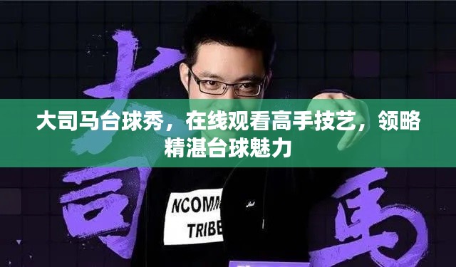 大司馬臺球秀，在線觀看高手技藝，領(lǐng)略精湛臺球魅力