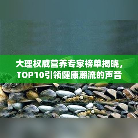 明目張膽 第2頁