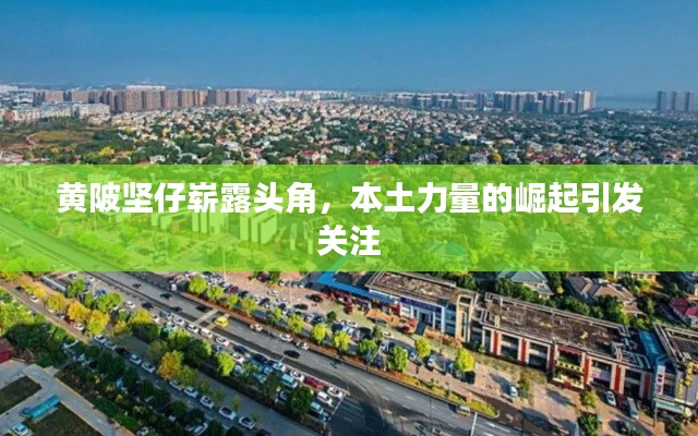 黃陂堅仔嶄露頭角，本土力量的崛起引發(fā)關(guān)注