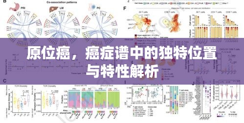 原位癌，癌癥譜中的獨特位置與特性解析