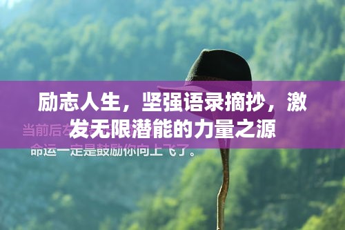 勵志人生，堅強語錄摘抄，激發(fā)無限潛能的力量之源