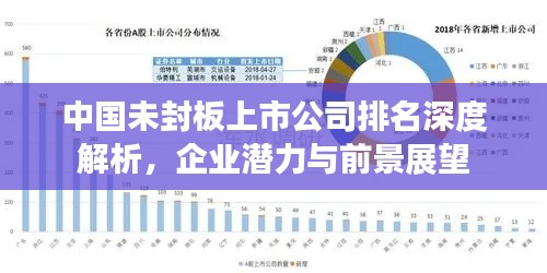 中國(guó)未封板上市公司排名深度解析，企業(yè)潛力與前景展望