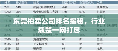 東莞拍賣公司排名揭秘，行業(yè)翹楚一網(wǎng)打盡
